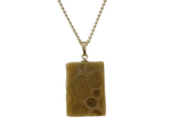 Petoskey Stone Rectangle Pendant