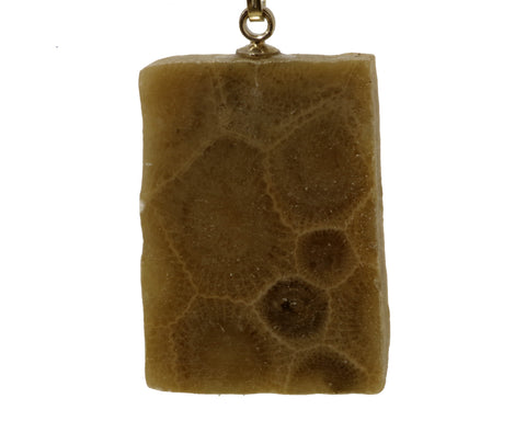 Petoskey Stone Rectangle Pendant