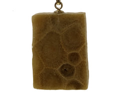 Petoskey Stone Rectangle Pendant