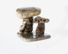 Petoskey Stone Mushroom Double