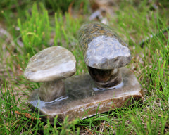 Petoskey Stone Mushroom Double