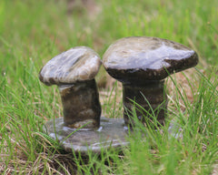 Petoskey Stone Mushroom Double