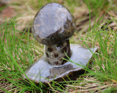 Petoskey Stone Mushroom Medium Single