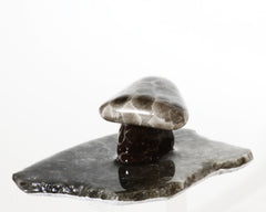 Petoskey Stone Mushroom Small Single