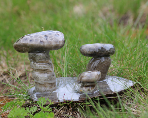 Petoskey Stone Mushroom Triple