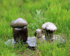 Petoskey Stone Mushroom Triple