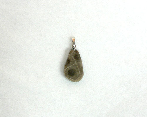 Petoskey Stone Teardrop Charm