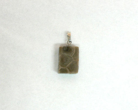 Petoskey Stone Rectangle Charm