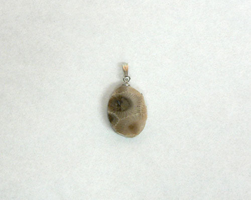 Petoskey Stone Oval Charm