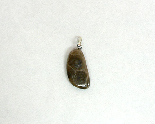 Petoskey Stone Freeform Charm