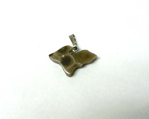 Petoskey Stone Upper Michigan Charm