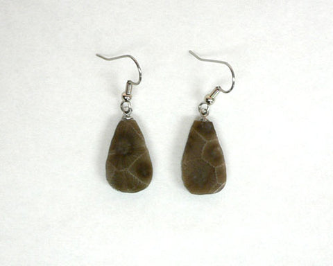 Petoskey Stone Teardrop Earrings