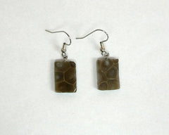 Petoskey Stone Rectangle Earrings