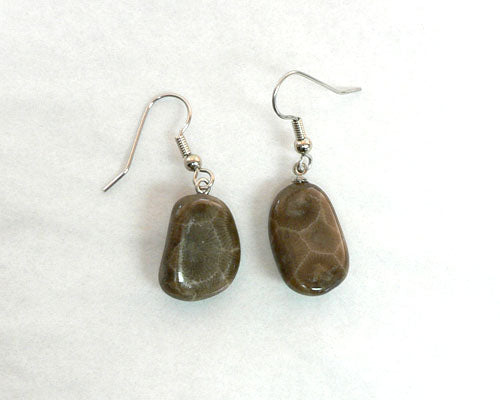 Petoskey Stone Freeform Earrings