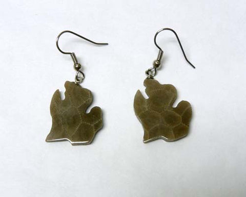 Petoskey Stone Lower Michigan Earrings