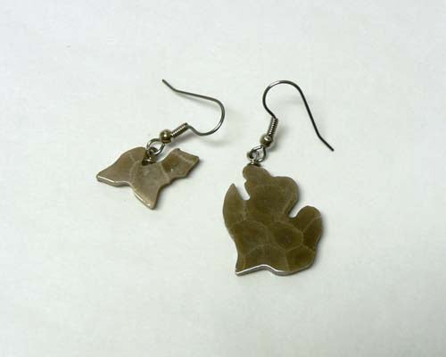 Petoskey Stone Michigan Earrings