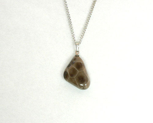 Petoskey Stone Freeform Pendant