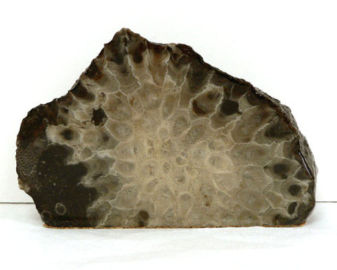 Petoskey Stone Small Endcut Decorators