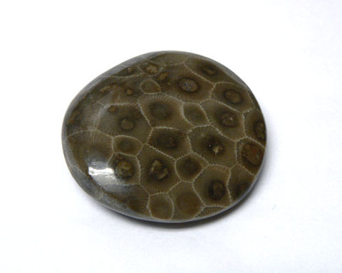 Polished Petoskey Stones - 24pc flat