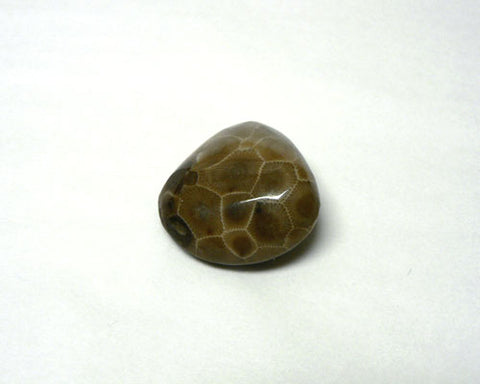 Petoskey Polished Stones - 54pc flat