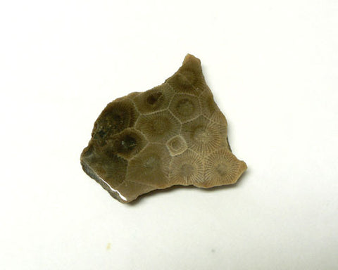 Petoskey Stone Slabs - 35pc flat