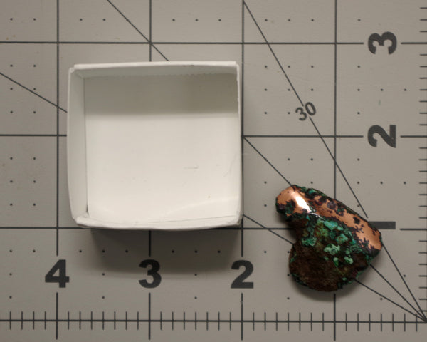 Butchite Freeform 54 size 1 piece