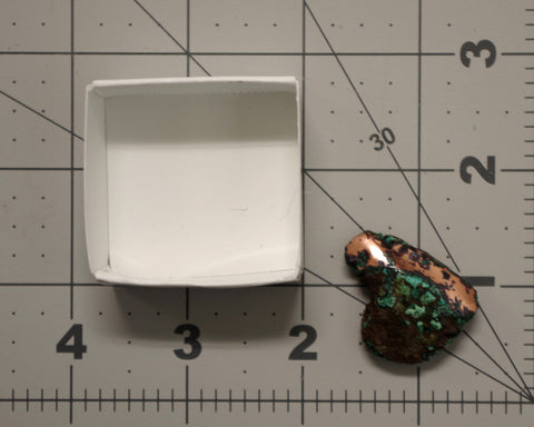 Butchite Freeform 54 size 1 piece