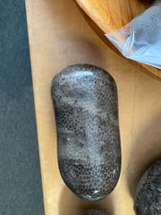 Polished Favosite - 12pc Flat