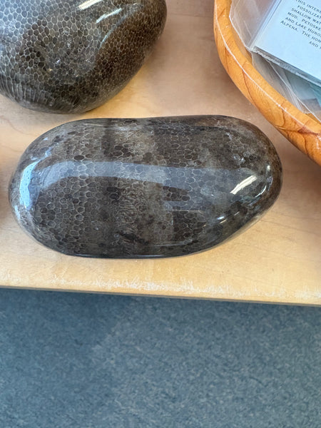 Polished Favosite - 24pc Flat