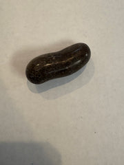 Polished Favosite - 35pc Flat