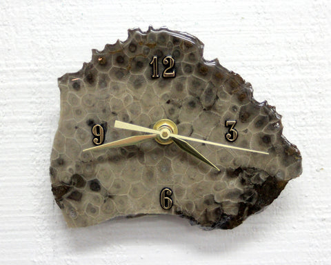 Petoskey Stone Desk Clock