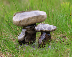 Petoskey Stone Mushroom Double