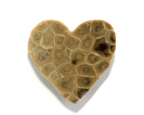 Petoskey Stone Heart Magnet