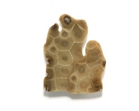Petoskey Stone Lower Peninsula Magnet