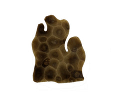 Petoskey Stone Lower Peninsula Magnet
