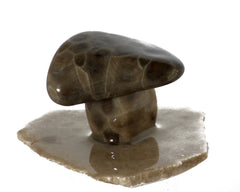 Petoskey Stone Mushroom Small Single
