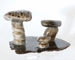 Petoskey Stone Mushroom Triple