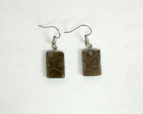 Petoskey Stone Rectangle Earrings – Keweenaw Gem Gift WS