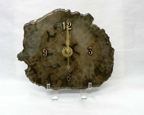 Petoskey Stone Desk Clock