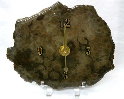 Petoskey Stone Wall Clock